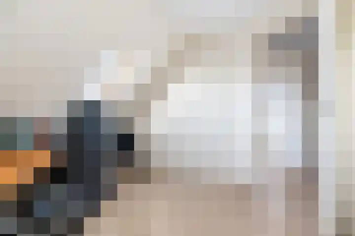 It Suderheech 10 Ferwert thumbnail 27