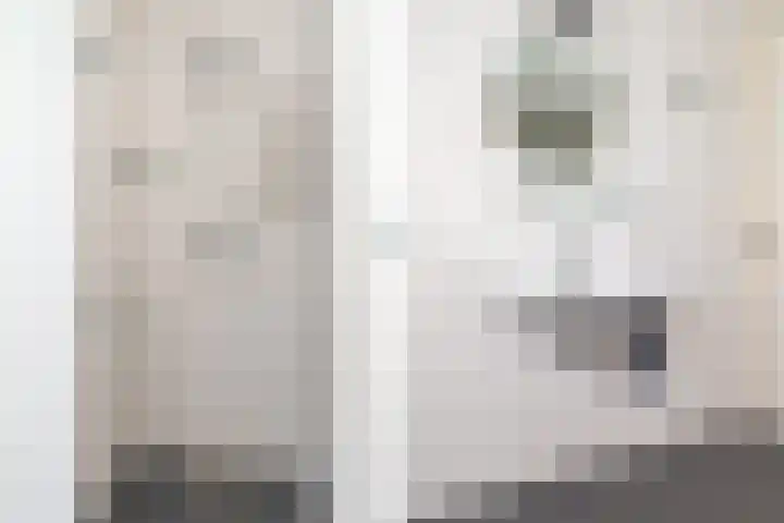 It Suderheech 10 Ferwert thumbnail 29