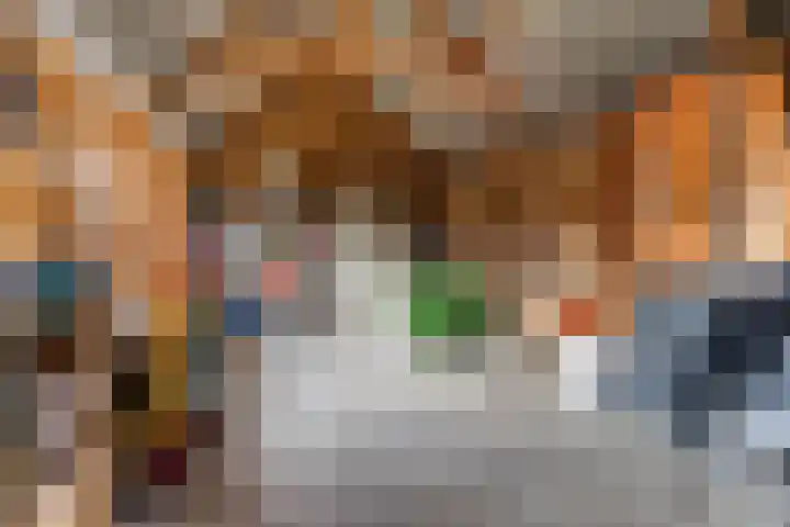 It Suderheech 10 Ferwert thumbnail 31