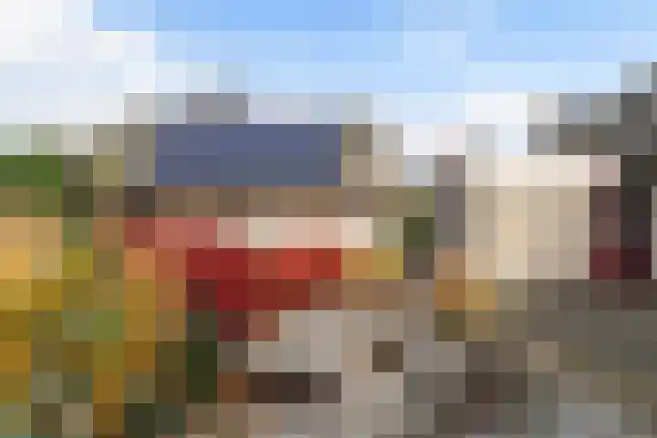 It Suderheech 10 Ferwert thumbnail 33