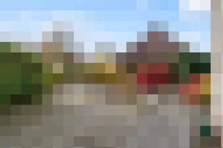 It Suderheech 10 Ferwert thumbnail 34