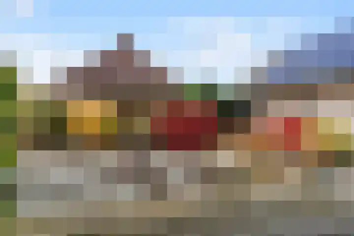 It Suderheech 10 Ferwert thumbnail 35