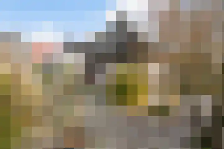 It Suderheech 10 Ferwert thumbnail 36