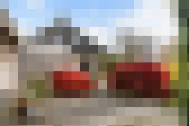 It Suderheech 10 Ferwert thumbnail 37