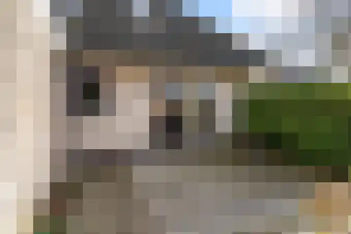 It Suderheech 10 Ferwert thumbnail 38