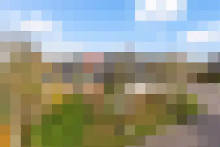 It Suderheech 10 Ferwert thumbnail 39