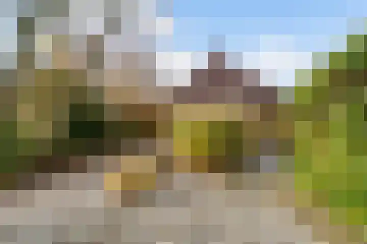 It Suderheech 10 Ferwert thumbnail 42