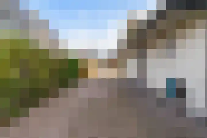 It Suderheech 10 Ferwert thumbnail 43
