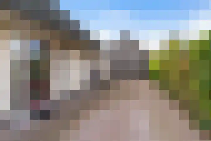 It Suderheech 10 Ferwert thumbnail 44