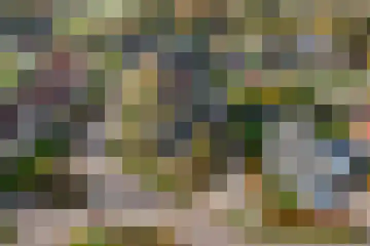 It Suderheech 10 Ferwert thumbnail 45