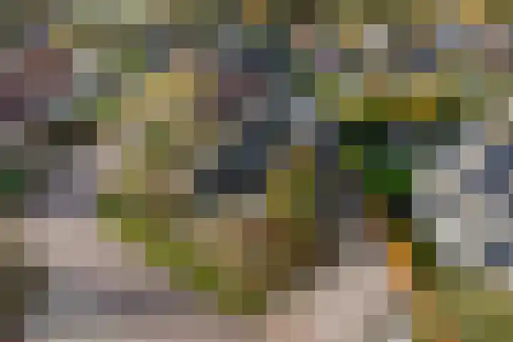 It Suderheech 10 Ferwert thumbnail 46