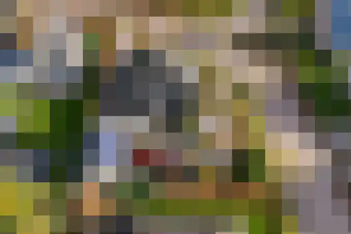 It Suderheech 10 Ferwert thumbnail 48