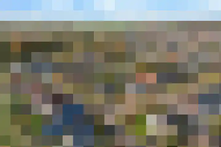 It Suderheech 10 Ferwert thumbnail 50