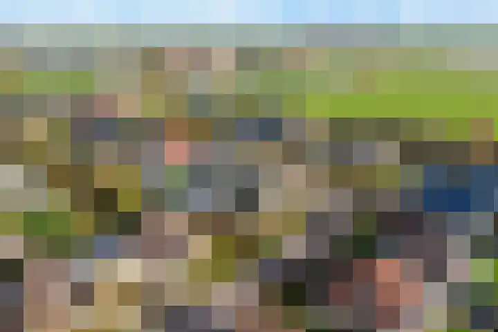 It Suderheech 10 Ferwert thumbnail 51