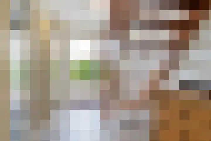 It Suderheech 10 Ferwert thumbnail 6