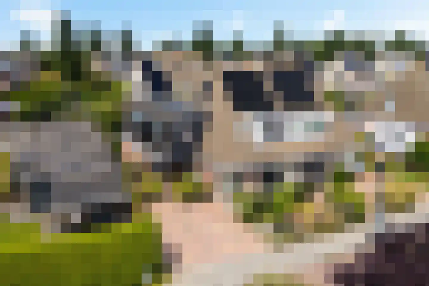 It Swee 1 Nes foto 2