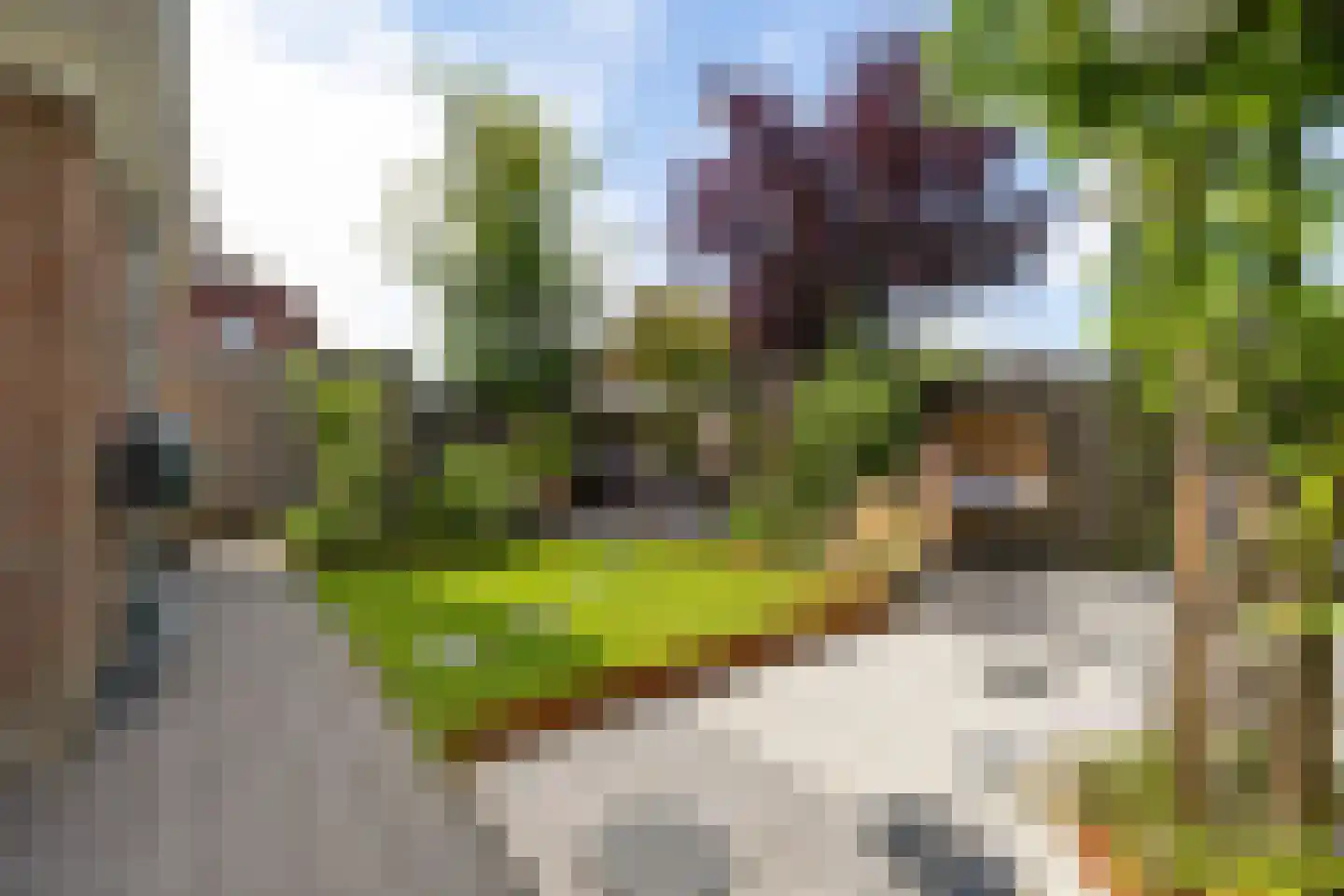 It Swee 1 Nes thumbnail 47