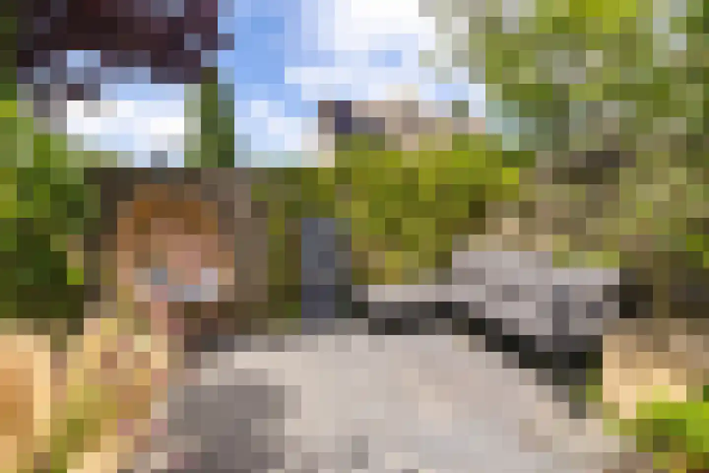 It Swee 1 Nes thumbnail 48