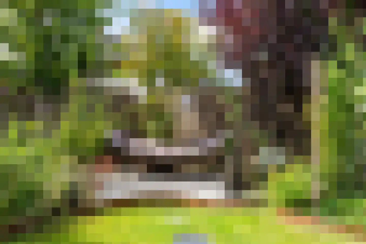 It Swee 1 Nes thumbnail 49