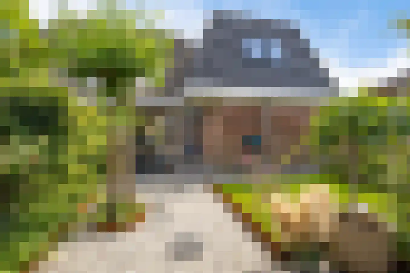 It Swee 1 Nes thumbnail 50