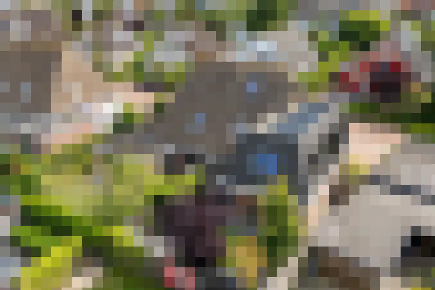 It Swee 1 Nes thumbnail 55