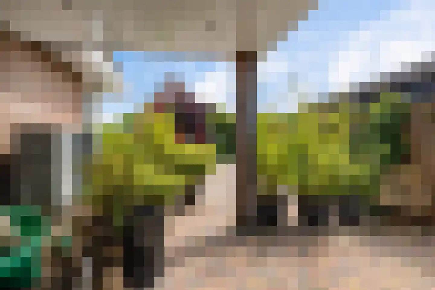 It Swee 1 Nes thumbnail 6