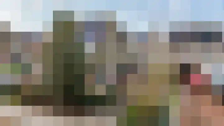 It Swee 11 in Nes
