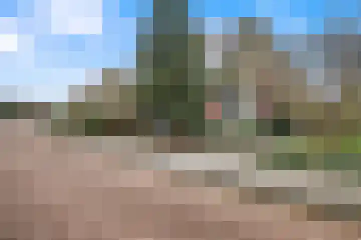 It Swee 11 Nes foto 2