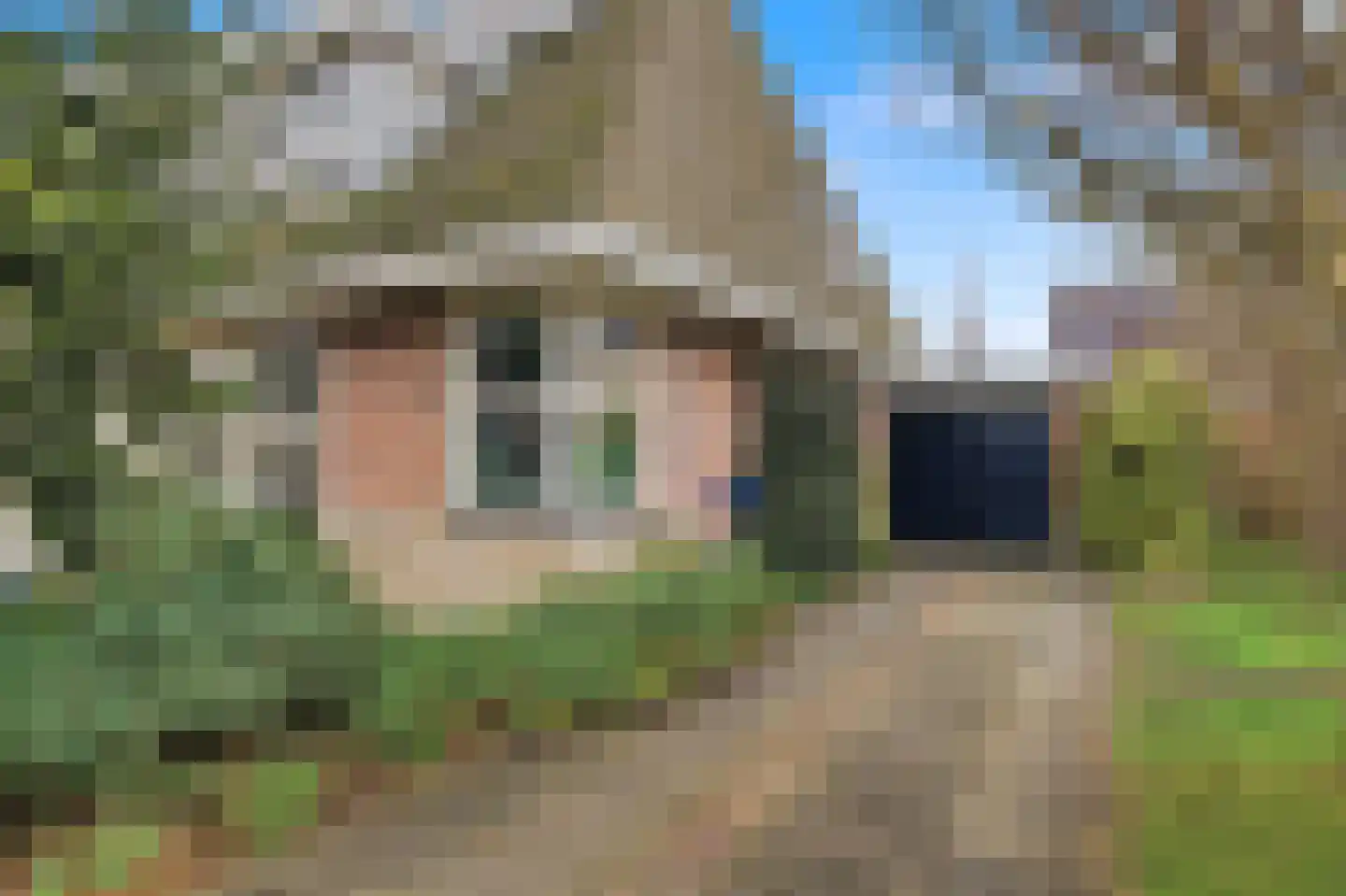 It Swee 11 Nes thumbnail 4