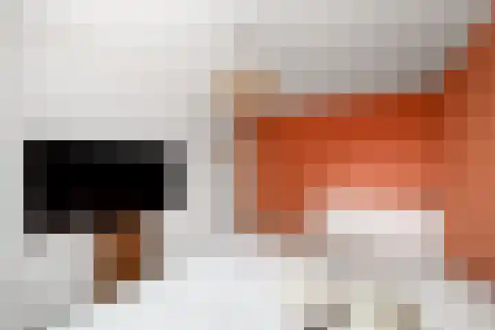 It Swurd 16 Joure thumbnail 18