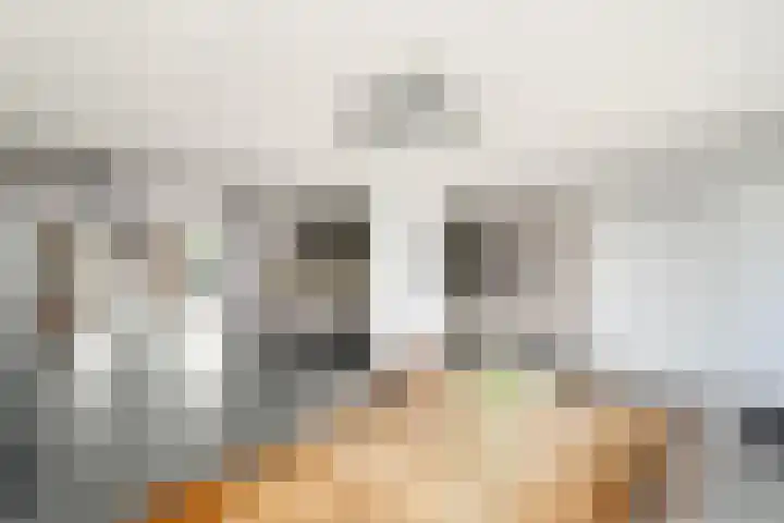 It Swurd 16 Joure thumbnail 9