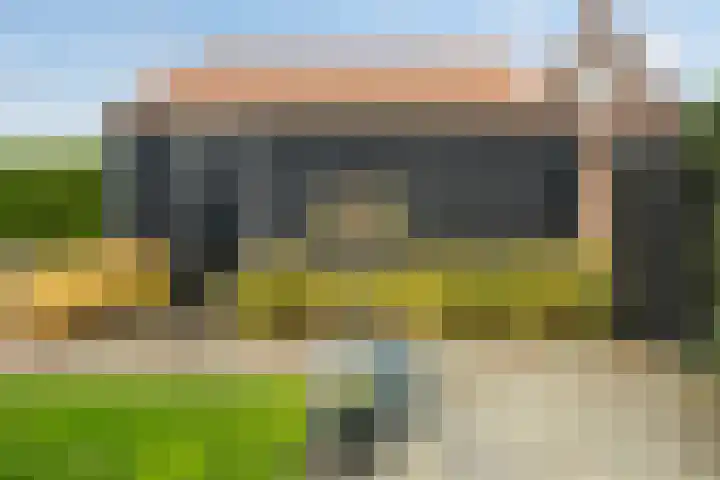 It Uleboerd 83 Leeuwarden thumbnail 21