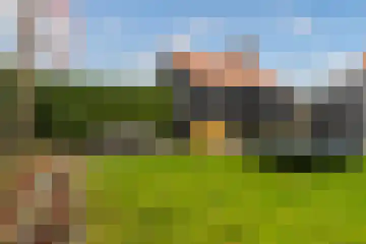 It Uleboerd 83 Leeuwarden thumbnail 22