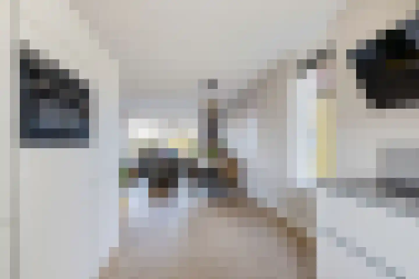 It Waarlamke 2 Leeuwarden thumbnail 15