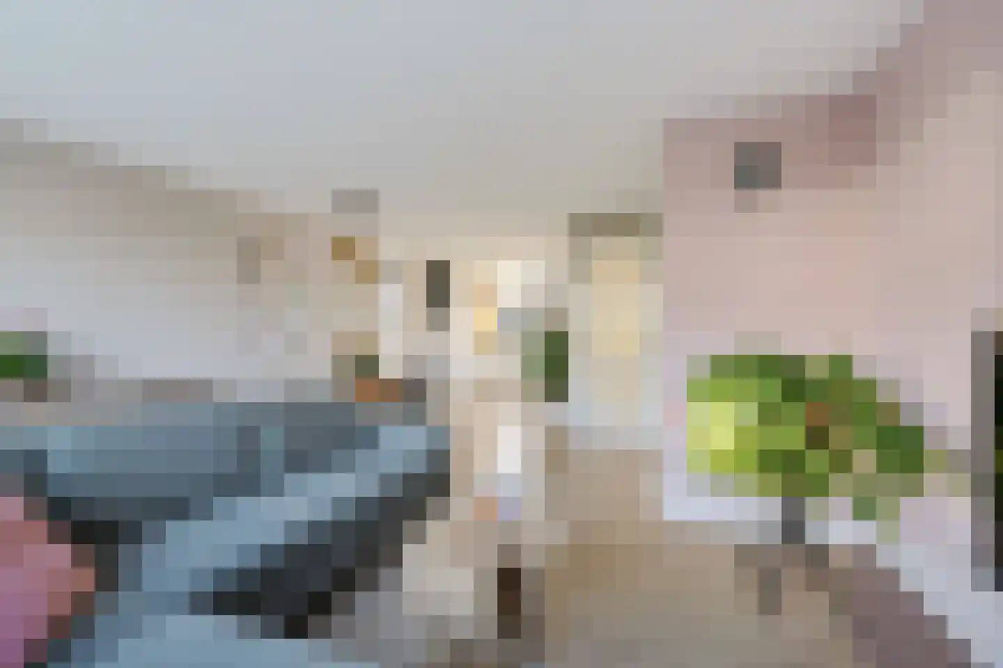 It Waarlamke 2 Leeuwarden thumbnail 16
