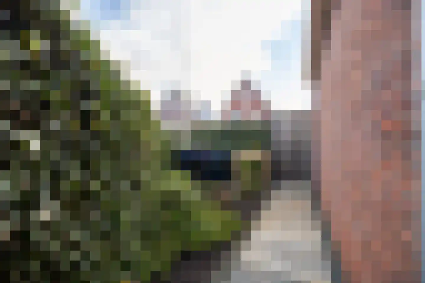 It Waarlamke 2 Leeuwarden thumbnail 37