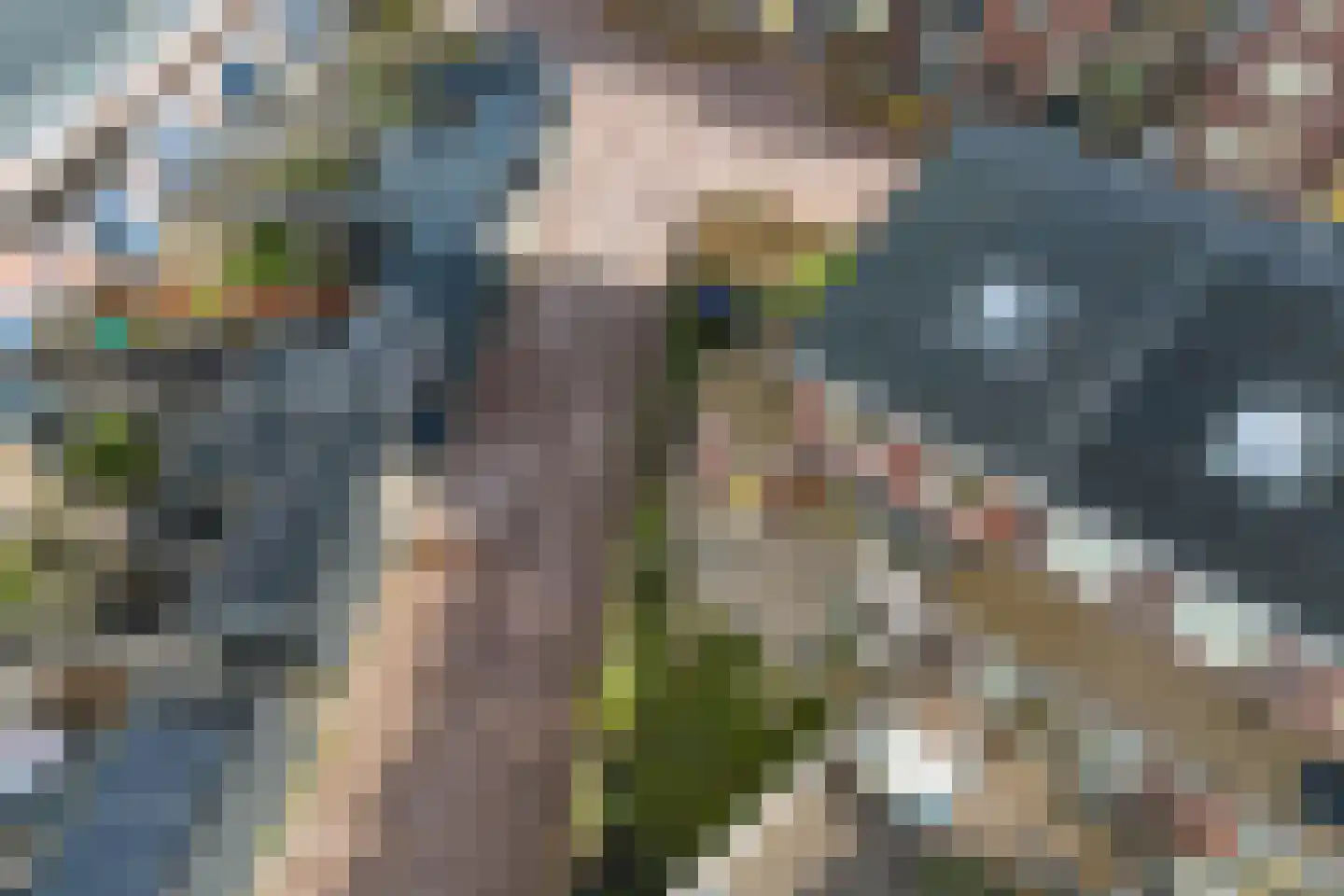 It Waarlamke 2 Leeuwarden thumbnail 39