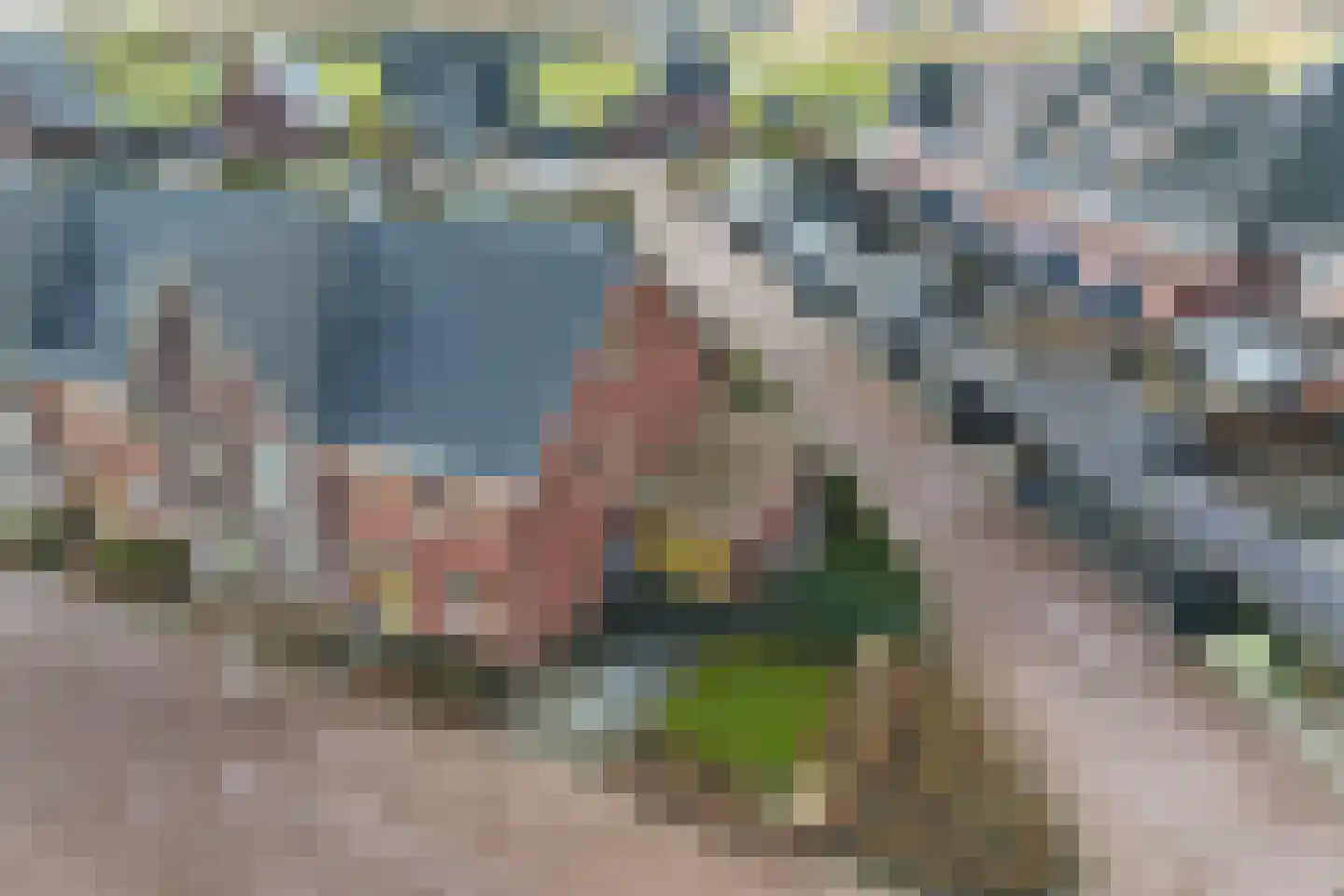 It Waarlamke 2 Leeuwarden thumbnail 4
