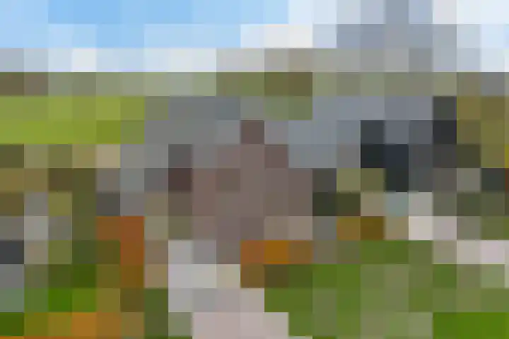 It Waarlamke 25 Leeuwarden thumbnail 5