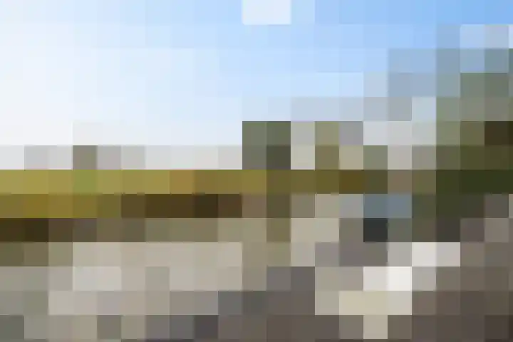 It Waarlamke 25 Leeuwarden thumbnail 50