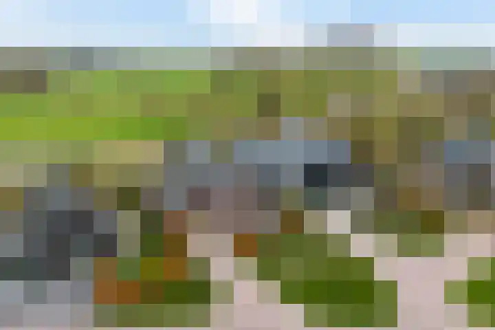 It Waarlamke 25 Leeuwarden thumbnail 57