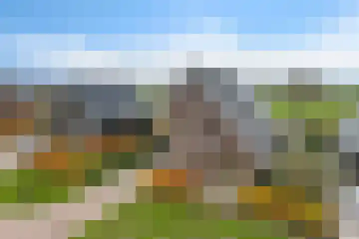 It Waarlamke 25 Leeuwarden thumbnail 6
