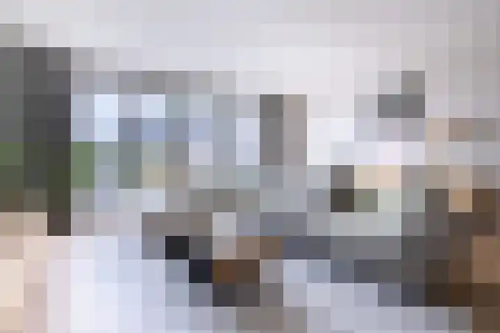 It Waarlamke 6 Leeuwarden thumbnail 13