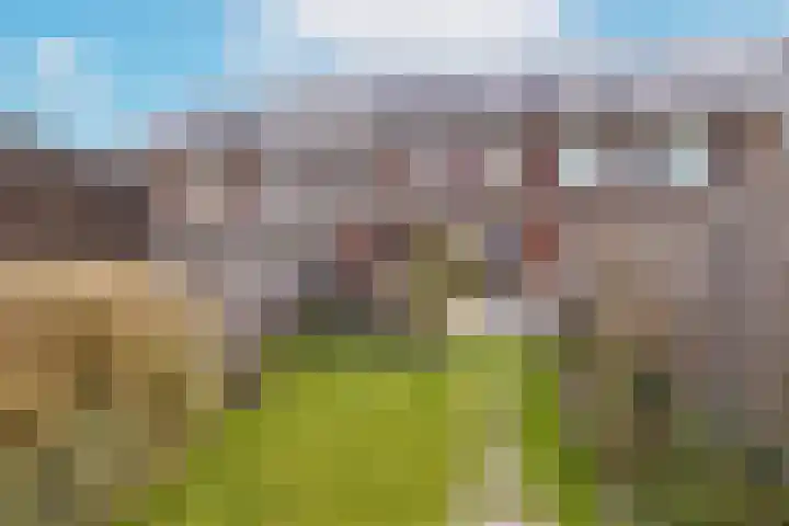 It Waarlamke 6 Leeuwarden thumbnail 47