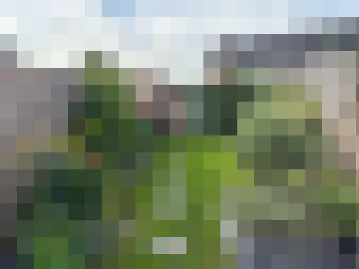 It Waarlamke 6 Leeuwarden thumbnail 51
