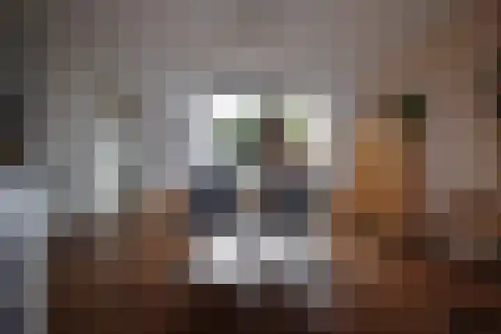 It Waarlamke 9 Bolsward thumbnail 10