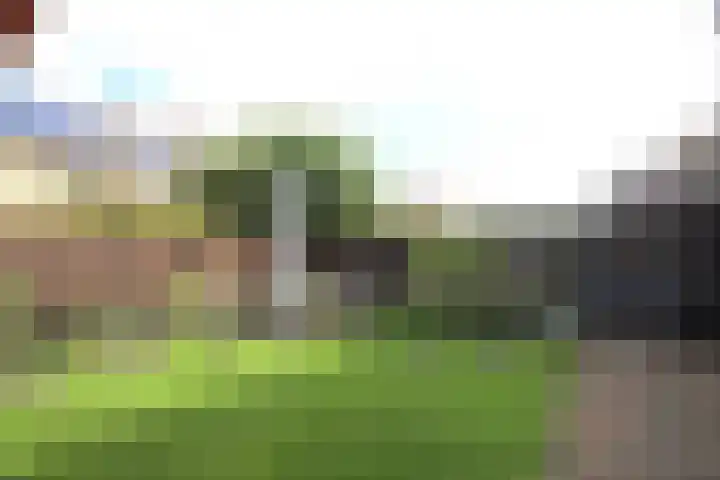 It Waarlamke 9 Bolsward thumbnail 19
