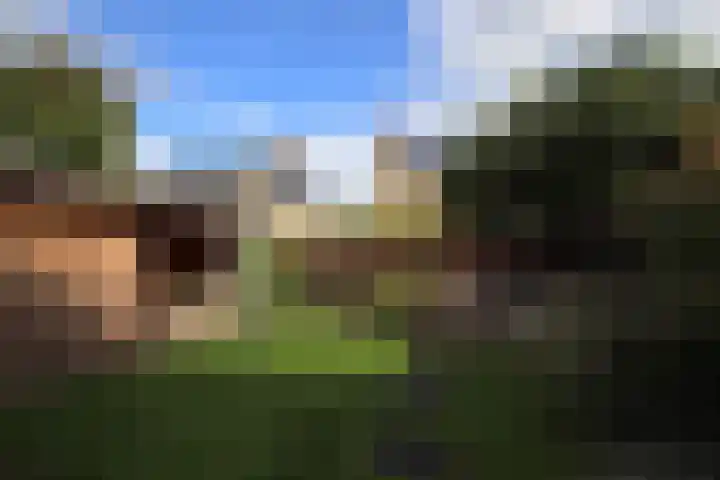 It Waarlamke 9 Bolsward thumbnail 20