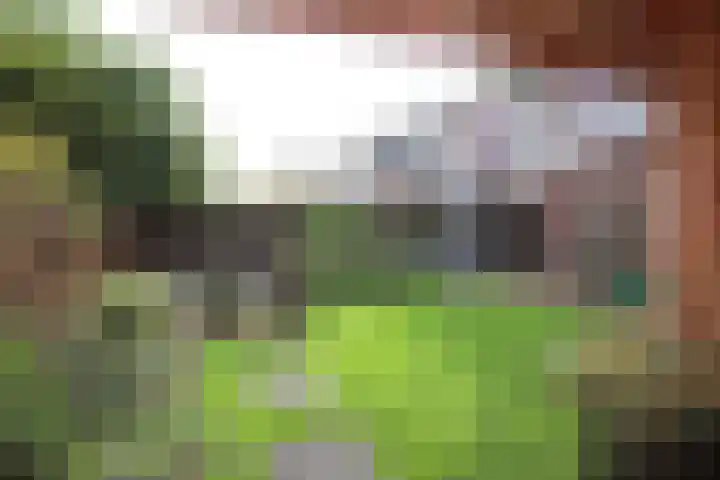 It Waarlamke 9 Bolsward thumbnail 21