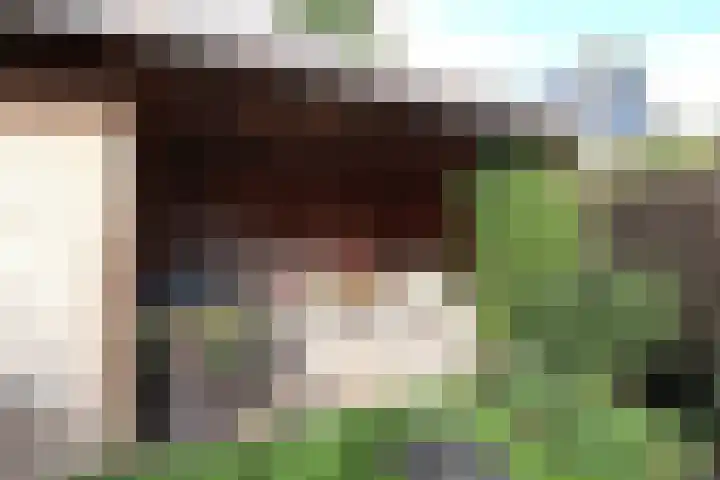 It Waarlamke 9 Bolsward thumbnail 22